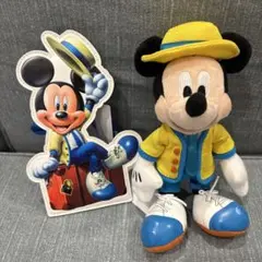 バケーションパッケージ　ミッキー　2個セット