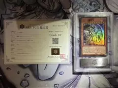 ARS10】遊戯王 オシリスの天空竜 墨絵 鑑定書 sumie - メルカリ