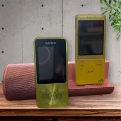 2026年最新】SONY NW-S775の人気アイテム - メルカリ