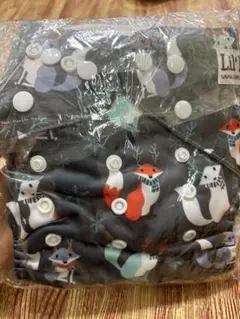 Item thumbnail for item cb002747-d07a-40d9-83c0-87c454b9ee52