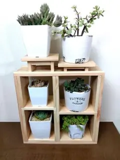 多肉植物棚 シェルフ TB-95 多肉植物棚 TB-W66A