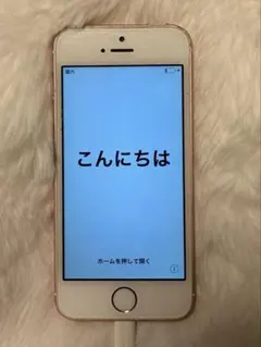 iphone se 本体
