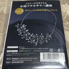 Item thumbnail for item 07fe98da-0a93-404c-8157-ee4531dd78a9