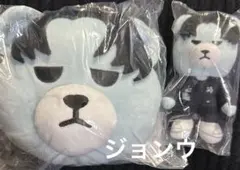 TREASURE KRUNK ジョンウ パスケース マスコット セット