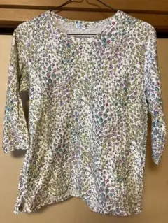 Item thumbnail for item 84b4aa82-2cb3-4520-9b33-f88feaeea274