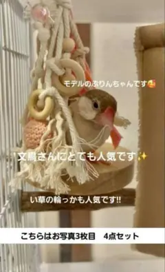 v108 自然素材 ハミハミ吊り下げおもちゃ 文鳥 インコ バードトイ