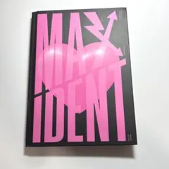 Stray Kids MAXIDENT CD アルバム