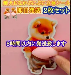 おなかぷにぷにシール　柴犬 ステッカー2枚セット もっちもち立体シールスクイーズ