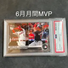 2025年最新】大谷翔平 wbc カード psa10の人気アイテム - メルカリ