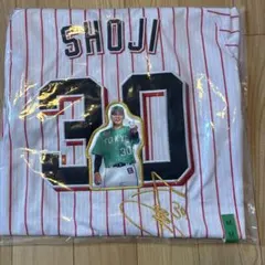 新品 ACミラン10番 本田圭佑選手直筆サイン入りユニフォーム アウェイ