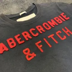 Abercrombie & Fitch Tシャツ ブラック M 程良いフェード感のサムネイル