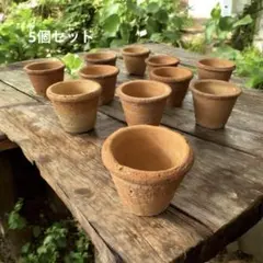 丹波立杭焼 伝市鉢 3点まとめ売り 山野草鉢 植木鉢 盆栽 ガーデニング