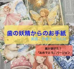 歯の妖精　【おめでとうバージョン】　tooth fairy 乳歯ケース　英語