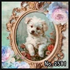 【d-2581】デザインペーパー