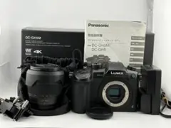 LUMIX GH5 DC-GH5M レンズキット 美品 使用2回のみ 付属品完備 - メルカリ