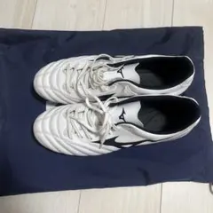 モナルシーダネオ