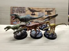 福井県立恐竜博物館限定ガチャ　恐竜フィギュア　全種コンプリート済！