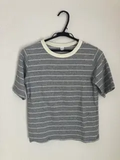 グレー ストライプ 半袖Tシャツ FREE