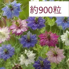 TUKI様 リクエスト 6点 まとめ商品