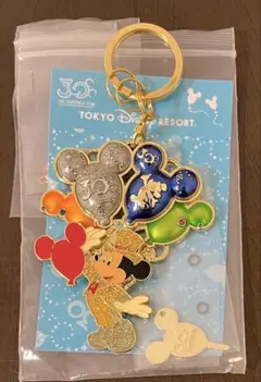 2025年最新】ディズニー 30周年 チャームの人気アイテム - メルカリ