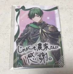 ボイシングチップス カード すち