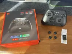 GALE HALL ゲーミングコントローラー