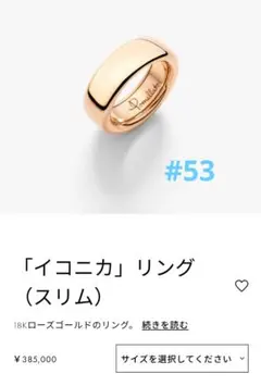 7月21日出品取り下げ　ポメラート　イコニカリング#53 現行品✨のサムネイル