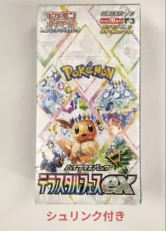 2025年最新】テラスタルフェスEXの人気アイテム - メルカリ