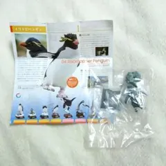ネイチャーテクニカラー 南極 ペンギン フィギュア ガチャガチャ