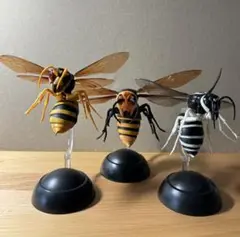 ガチャポン スズメバチ3点