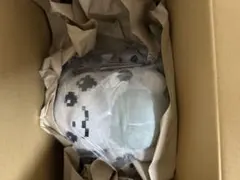 【2点セット】はじまりのピカチュウ ぬいぐるみ マスコット ポケモンセンター限定