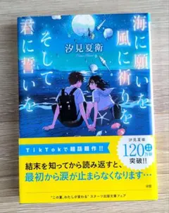 海に願いを 風に祈りを そして君に誓いを