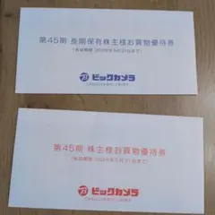 ビックカメラ 株主優待券　3000円分