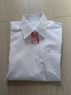 Item thumbnail for item 8c8e9f75-347f-4d01-877a-daeab9506958