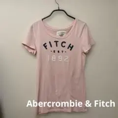 Abercrombie & Fitch Tシャツ Lサイズ