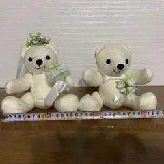 Item thumbnail for item 7c7db041-1de5-4618-b06a-cdfa0bac37d5