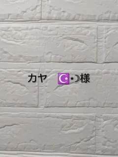 【カヤ　☪︎⋆☽様】専用