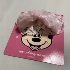 東京ディズニーリゾート パッチンミニー