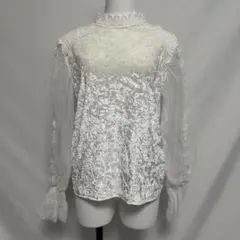 レース シースルー ベロアトップス