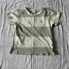 canterbury ストライプ Tシャツ 120