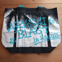 Item thumbnail for item 75d7150b-72ae-4901-80c3-863b12b35f90