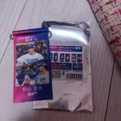 Item thumbnail for item bea49b37-4b60-49df-b06b-5e722144385d