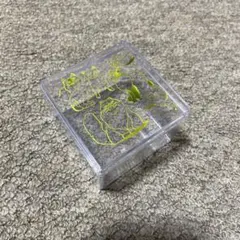 Item thumbnail for item 5549e508-2444-4064-bf19-c135dcba67b3