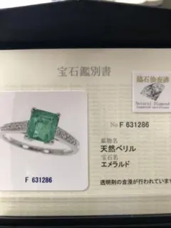 Item thumbnail for item 2bfa2093-f87e-43b0-a73f-61515722cd91