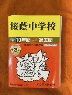 Item thumbnail for item ca575661-99d5-47c0-86d2-96ce42a992c3