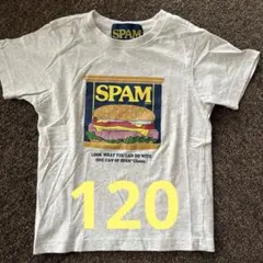 SPAM スパム Tシャツ グレー120