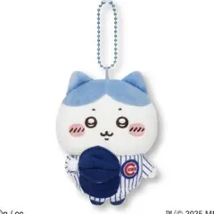 ちいかわ ハチワレ MLB カブス マスコット