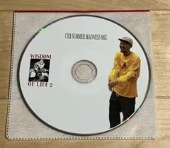 CE$ SUMMER MADNESS MIX WISDOM OF LIFE