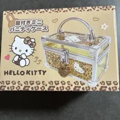 お値引きハローキティ/鍵付きミニバニティケース/ヒョウ柄/ギャル/小物入れ①