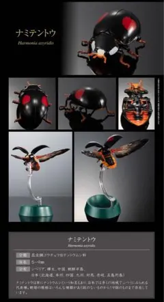 いきもの大図鑑アドバンス　テントウムシ　ナミテントウ　新品未開封